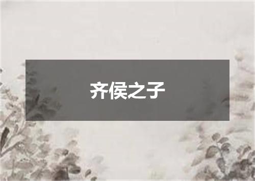 齐侯之子