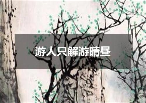 游人只解游晴昼
