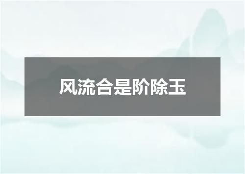 风流合是阶除玉
