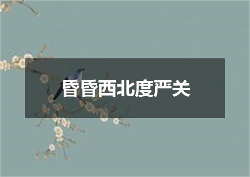 昏昏西北度严关