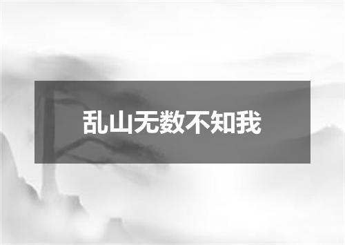 乱山无数不知我