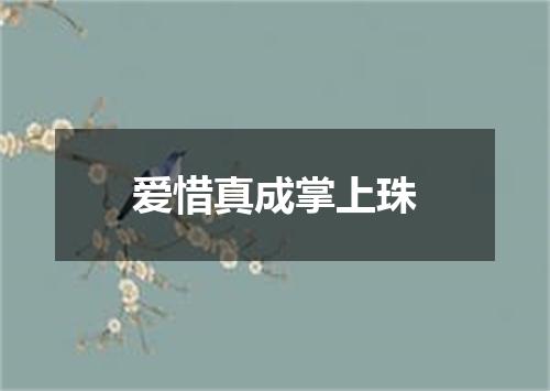 爱惜真成掌上珠