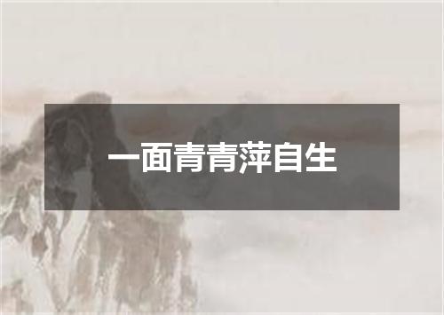 一面青青萍自生