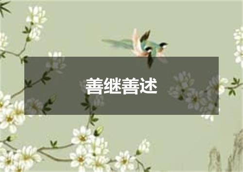 善继善述