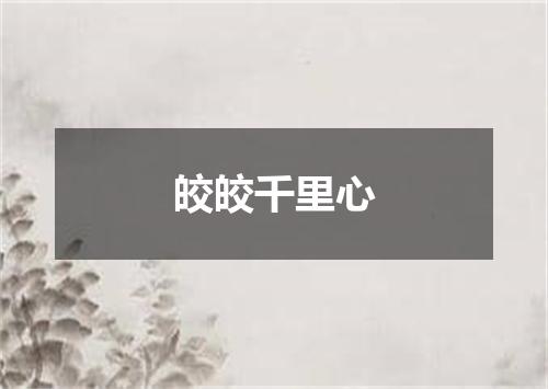 皎皎千里心