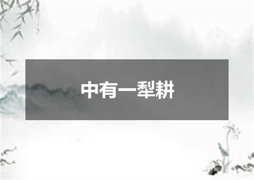 中有一犁耕