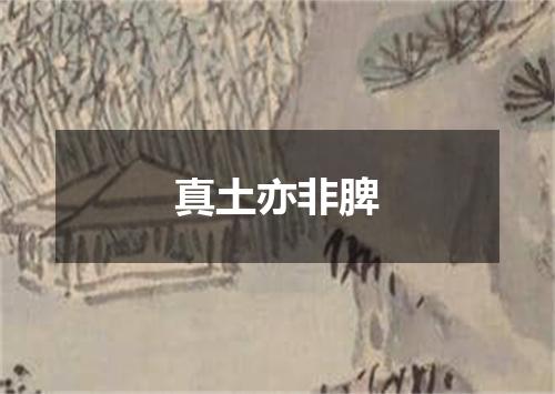 真土亦非脾