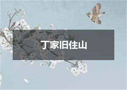 丁家旧住山