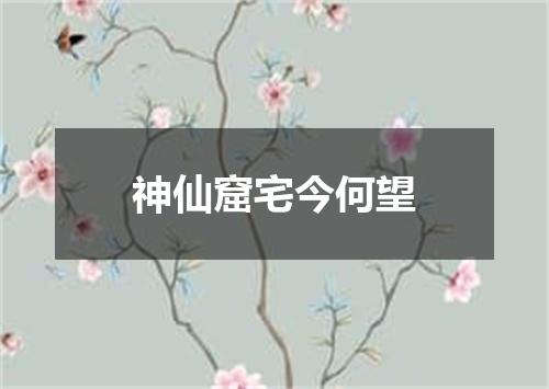 神仙窟宅今何望