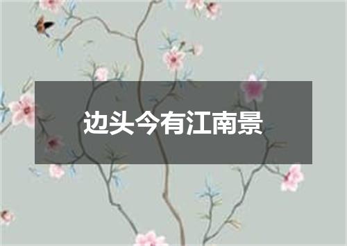 边头今有江南景