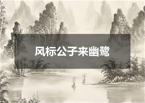 风标公子来幽鹭