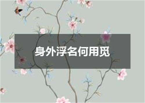 身外浮名何用觅