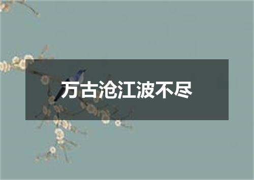 万古沧江波不尽