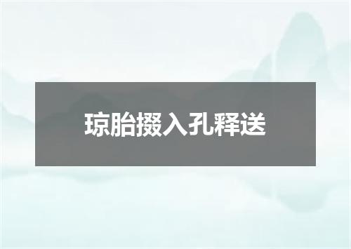 琼胎掇入孔释送