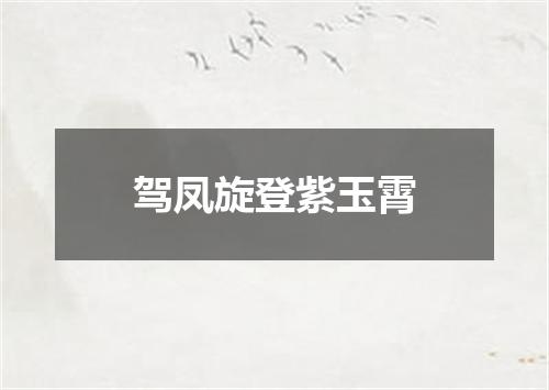 驾凤旋登紫玉霄