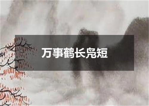 万事鹤长凫短