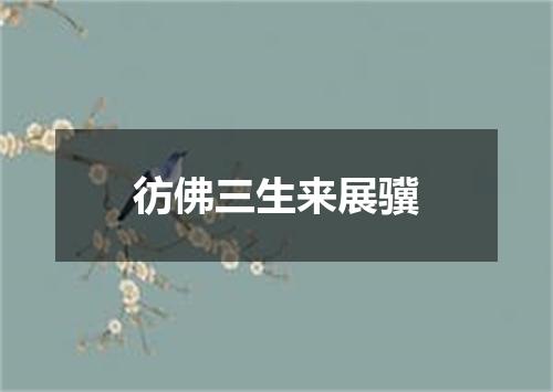 彷佛三生来展骥