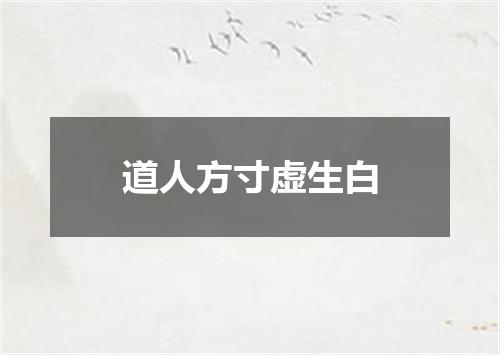 道人方寸虚生白