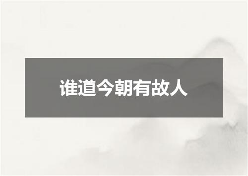 谁道今朝有故人