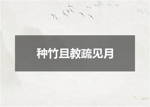 种竹且教疏见月