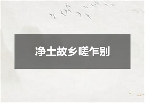 净土故乡嗟乍别