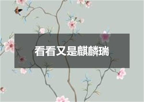 看看又是麒麟瑞
