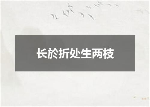 长於折处生两枝