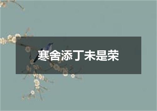寒舍添丁未是荣