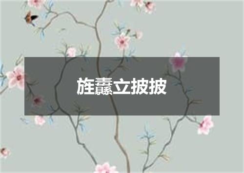 旌纛立披披