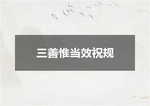 三善惟当效祝规