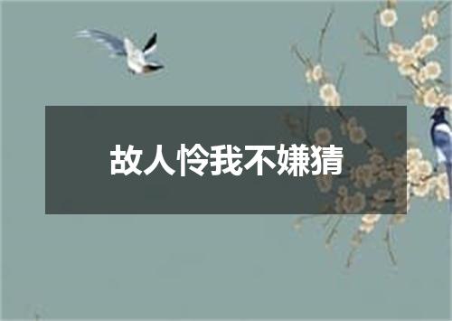 故人怜我不嫌猜