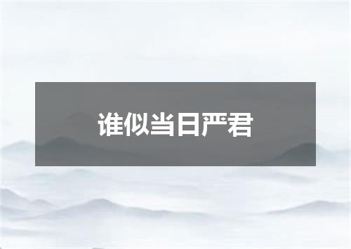 谁似当日严君