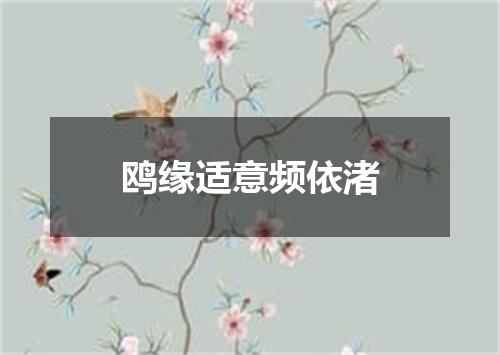 鸥缘适意频依渚