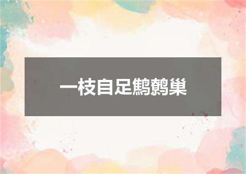 一枝自足鹪鹩巢