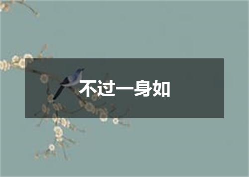 不过一身如
