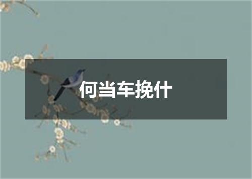 何当车挽什