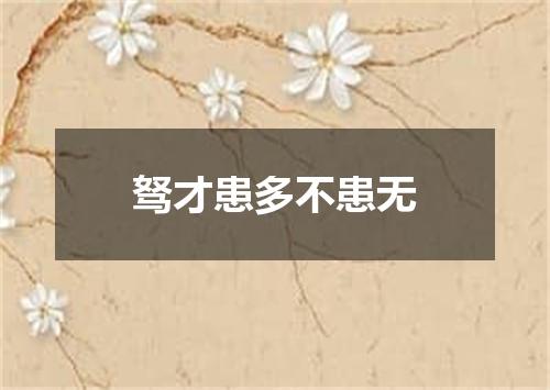 驽才患多不患无