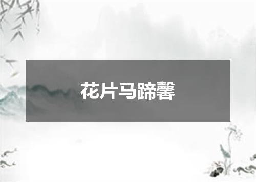花片马蹄馨
