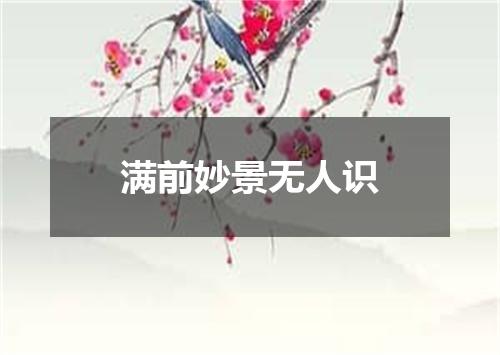 满前妙景无人识