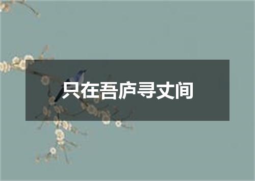只在吾庐寻丈间