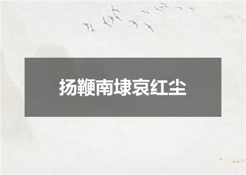 扬鞭南埭哀红尘