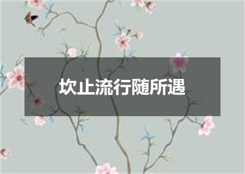 坎止流行随所遇