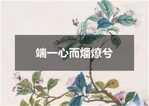 端一心而燔燎兮