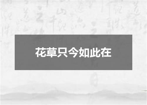 花草只今如此在