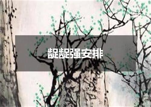 龊龊强安排