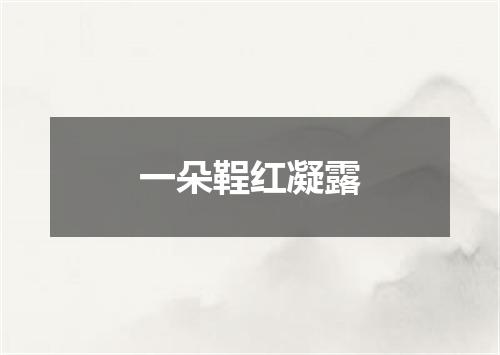 一朵鞓红凝露