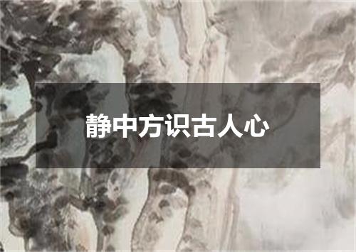静中方识古人心