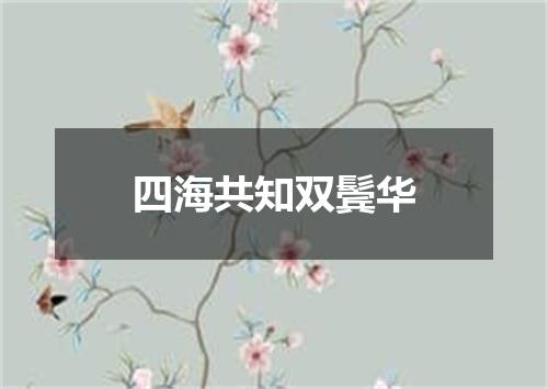 四海共知双鬓华