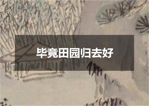 毕竟田园归去好