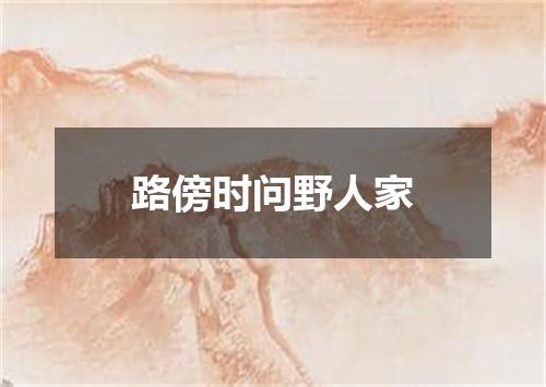 路傍时问野人家